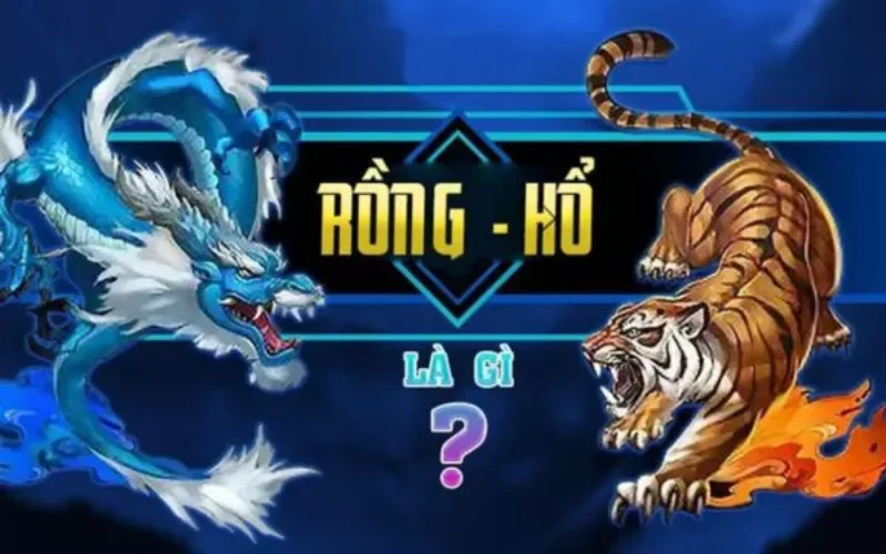 Tên gọi tiếng anh quen thuộc là Dragon Tiger