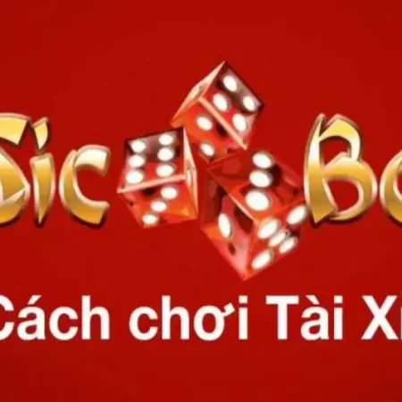 Cách chơi tài xỉu online mang về chiến thắng cực đã 